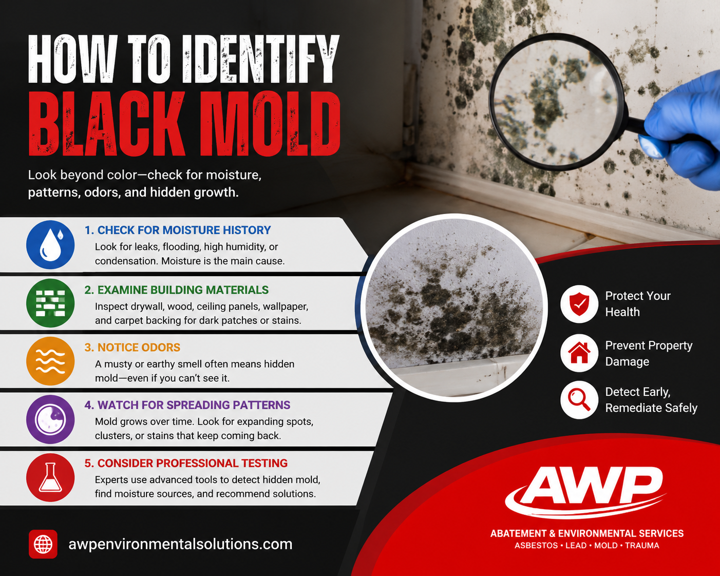 How to Identify Black Mold